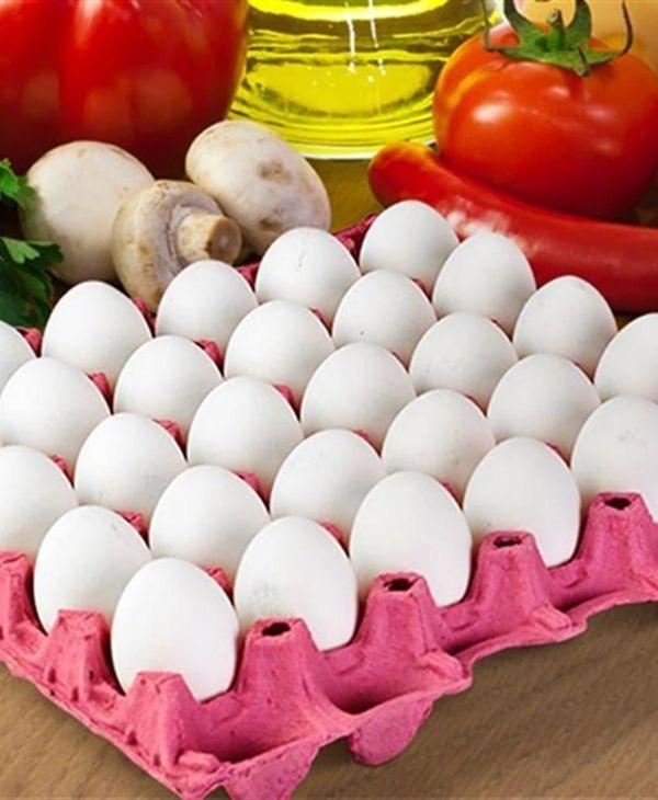 Günlük Taze Yumurta Tedariki